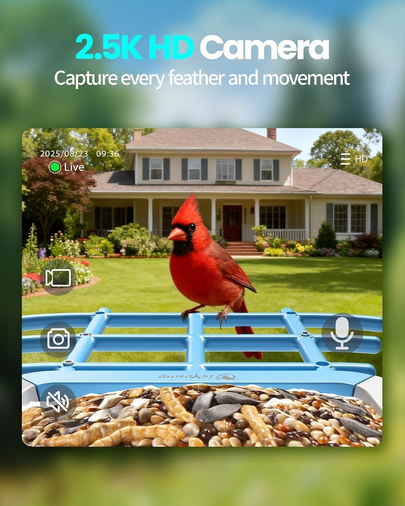 isYoung ​​ Smart Bird Feeder with Camera, 2.5K QHD Resolution, AI Identify 16000+ Birds, AI Auto-Capture & Motion Detection, IP65 Water-Resistant, 5W Solar Powered, Best Gift for Bird Lovers（Blue） - Image 3